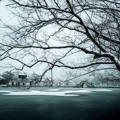 DSCF0686-21.jpg