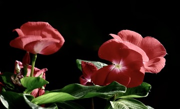 64A0D7FE-EF39-4D67-855B-3255D9327F27/L0/001