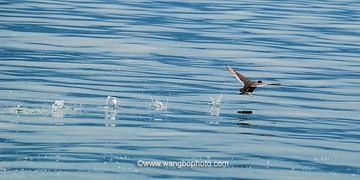 20120314DSC_1335.jpg