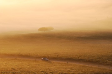 DSC_1298.JPG