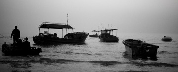 _MG_1205_1.jpg