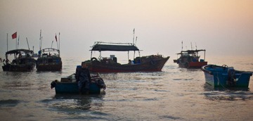 _MG_1203.JPG