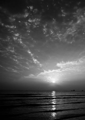_MG_1368_1.jpg