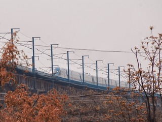 159842