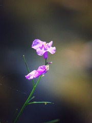 160138