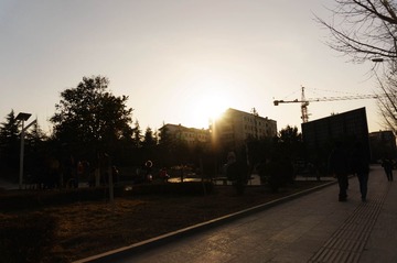 DSC02362.jpg