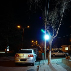 DSC02219.jpg