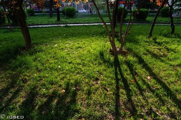 DSC03620-2.jpg