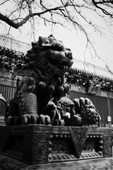 L1001068.jpg
