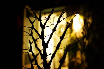 L1003007_