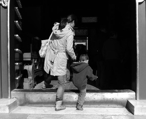 L1003066