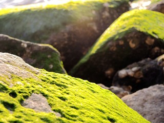 DSCN8349_