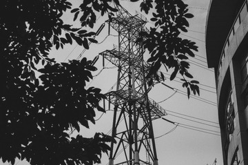 _DSC0151