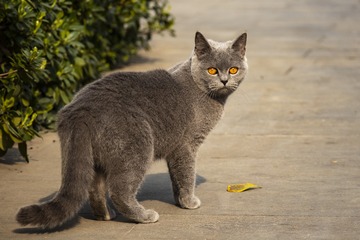 534163