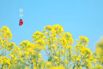 958003