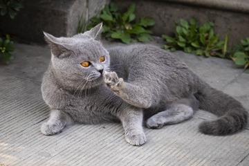 534141