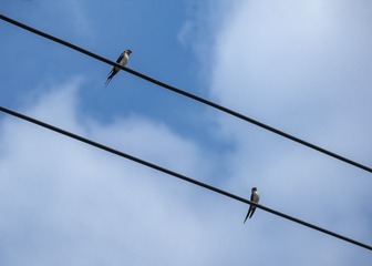 575283