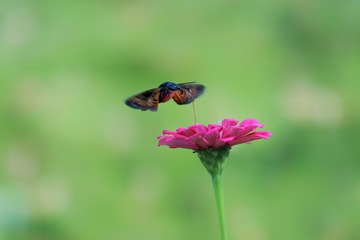 20181004154244_IMG_3289-01