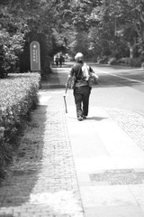 _DSC0038.jpg