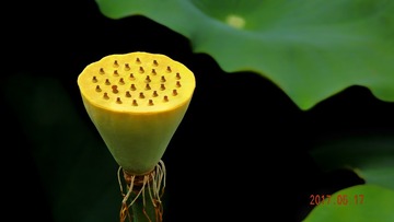 2585