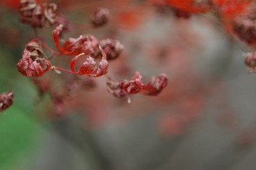 DSC_0117.JPG