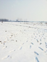 20130209_142133.jpg