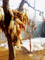 20130212_131045.jpg