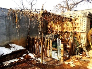 20130212_131143.jpg