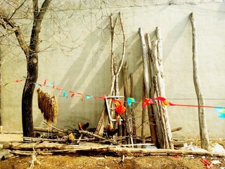 20130212_131240.jpg