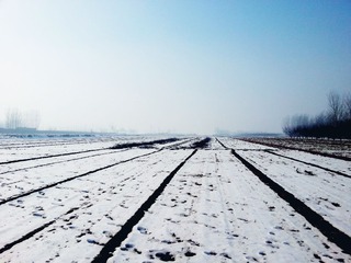 20130212_135043.jpg
