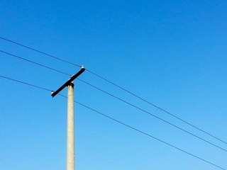 20130212_140611.jpg
