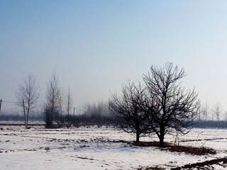 20130212_140651.jpg