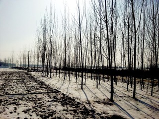 20130212_141115.jpg