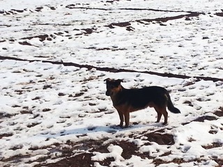 20130212_141650.jpg