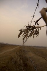 IMG_5527.JPG