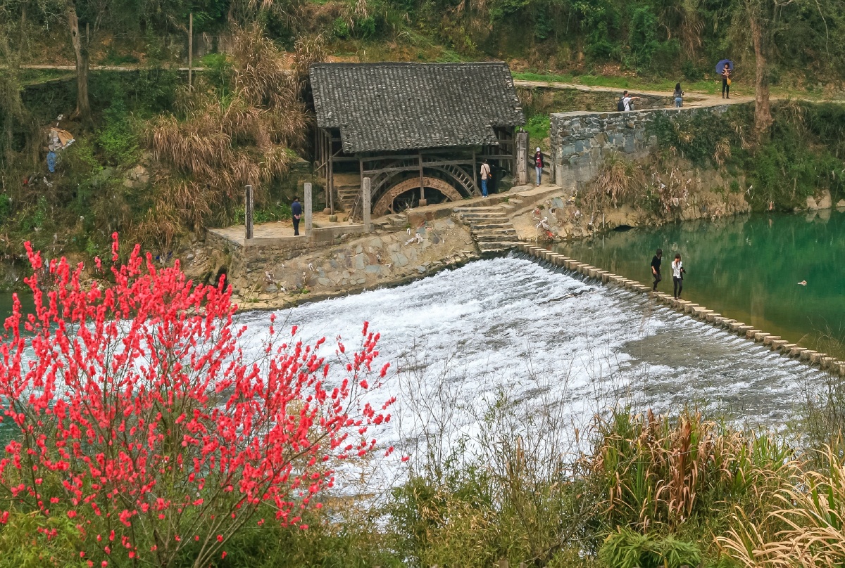 水磨坊渔梁坝桃花