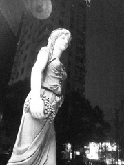 DSC07484.JPG