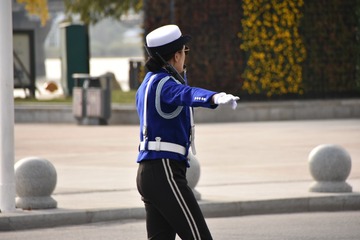 405558