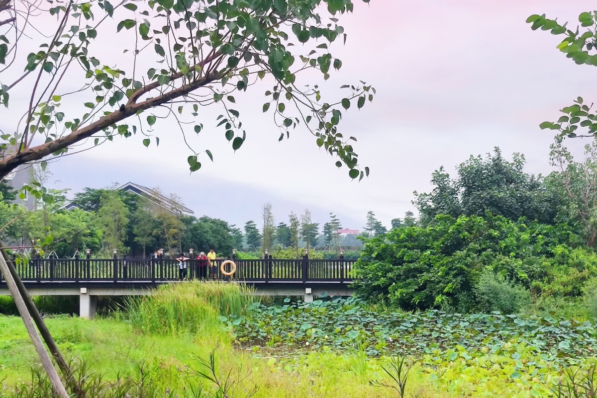 中山翠亨国家湿地公园