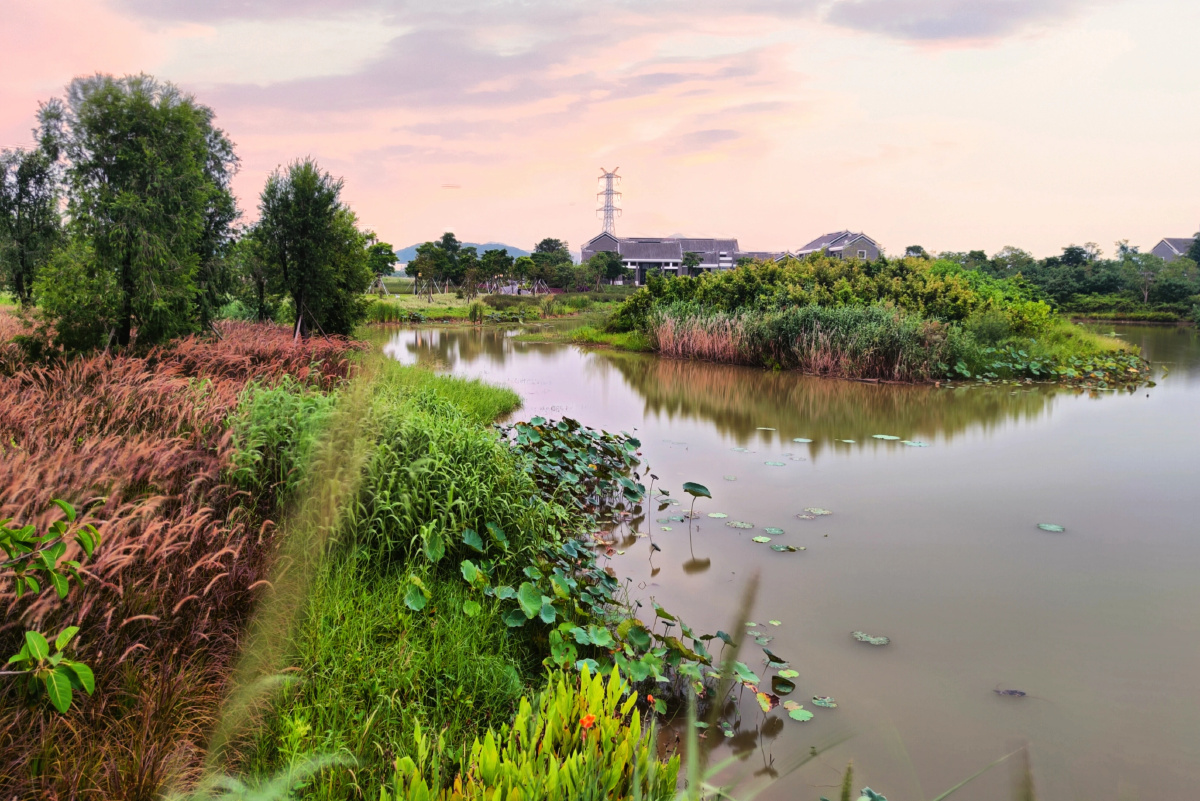 中山翠亨国家湿地公园