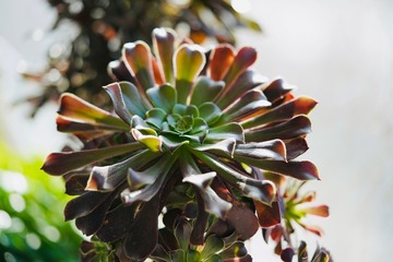 5F0B7097-4820-44AE-B0B2-C2AB815F2B17/L0/001