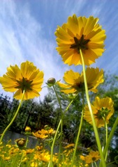IMAG0612-1-1.jpg