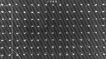 DJI_0763
