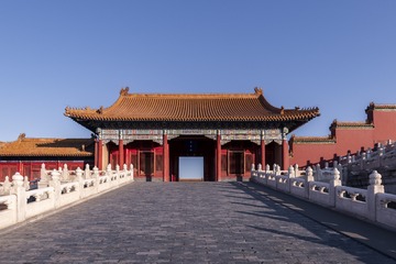 路边的不知名野花