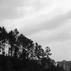 _1100721