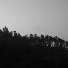 _1100754