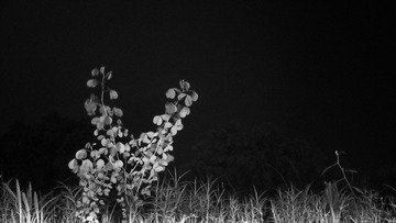 SAM_0072