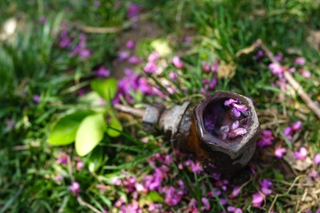 DSC00374.jpg