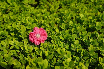 DSC00376.jpg