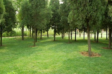 DSC00634.jpg